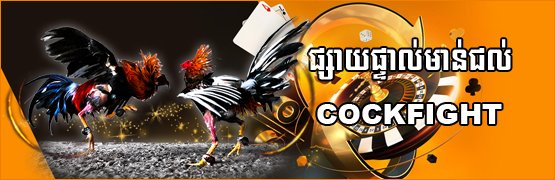 Cockfight