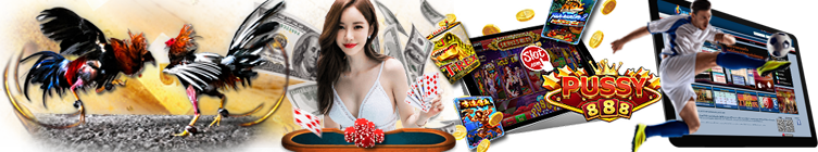 rigith-banner-top